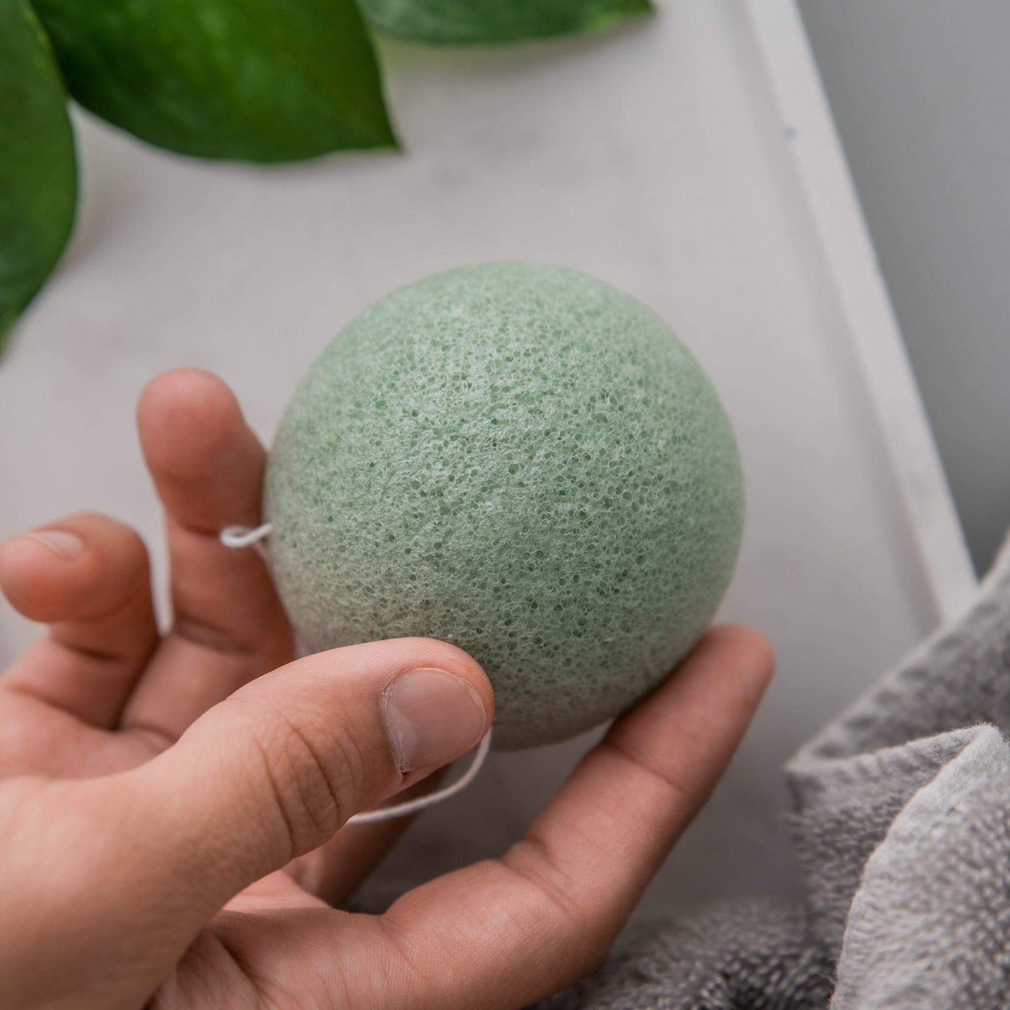 Konjac Sponge